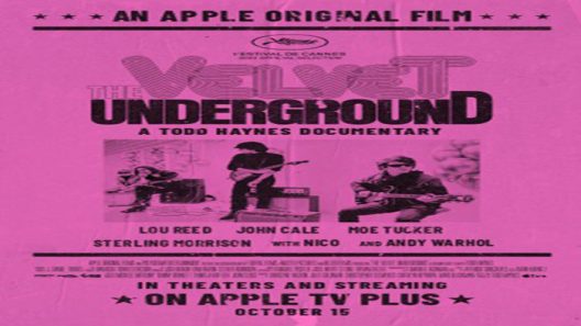 movie the velvet underground 2021 movie the velvet underground 2021